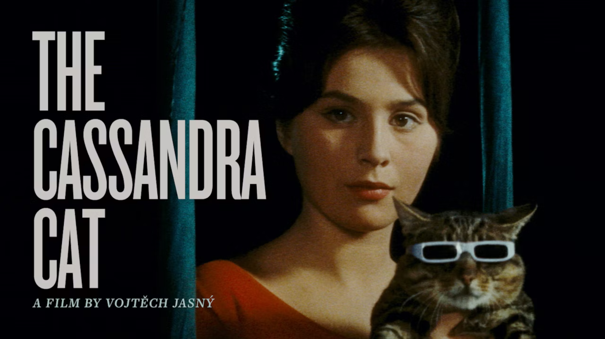 The Cassandra Cat: How a Film can Threaten a Regime